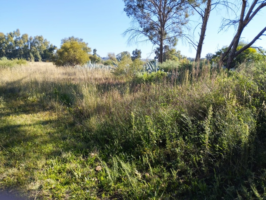Commercial Property for Sale in Estoire Free State